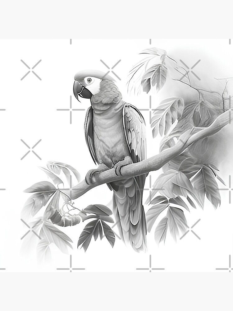 Macaw / Parrot - Pencil Drawing - red-amber65 - Drawings & Illustration,  Animals, Birds, & Fish, Birds, Parrots, Macaw - ArtPal