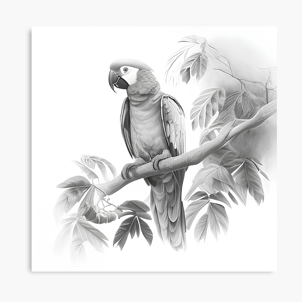Steadtler watercolour pencil art |mascaw parrot | Animal drawings sketches,  Pencil colour painting, Color pencil sketch