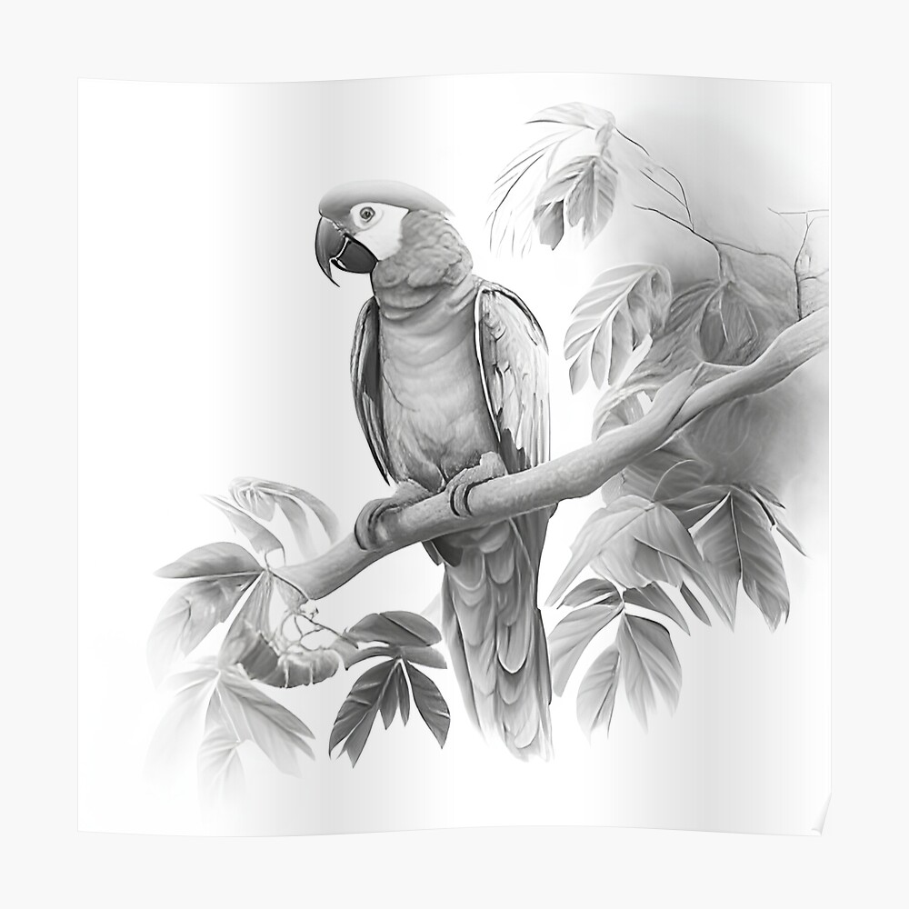 True parrot Bird Drawing, Hand colored parrot, blue, color Splash, painted  png | PNGWing