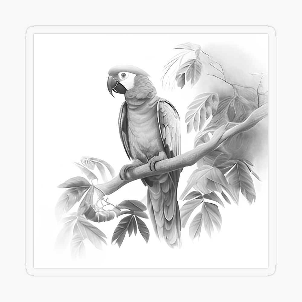 Parrot Drawing for Kids stock illustration. Illustration of cartoon -  263504646