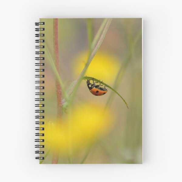 Item preview, Lady bug designed and sold by MartRPorter.