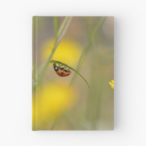 Item preview, Lady bug designed and sold by MartRPorter.