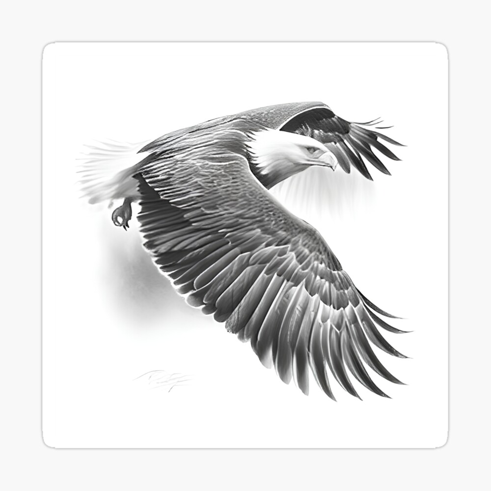 80+ Free Eagle Drawing & Eagle Images - Pixabay