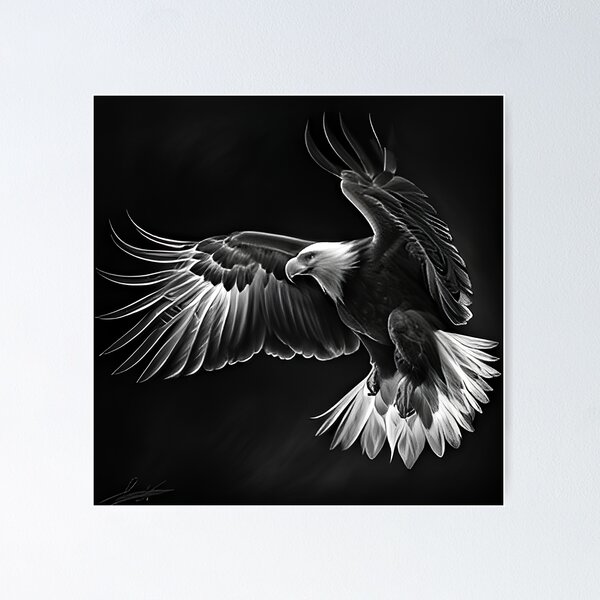 Artikelvorschau, Bleistift gezeichneter Weißkopfseeadler entworfen und verkauft von Pencil-Art.