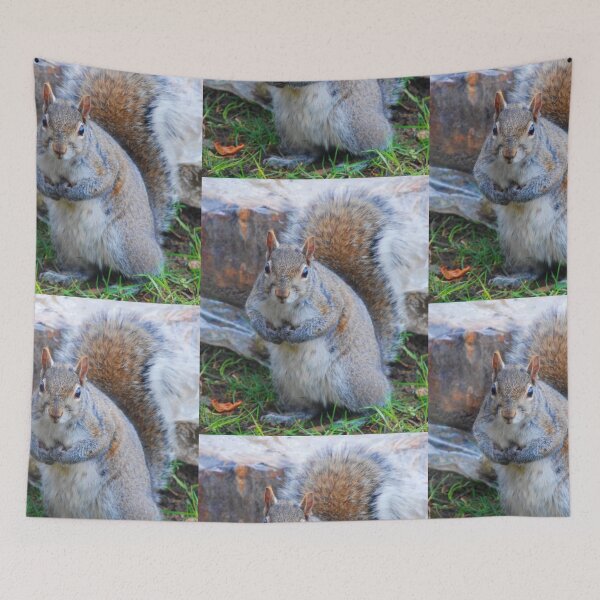 Item preview, Unique Squirrel Colors C2022 Steve Yellowbear designed and sold by SteveYellowbear.