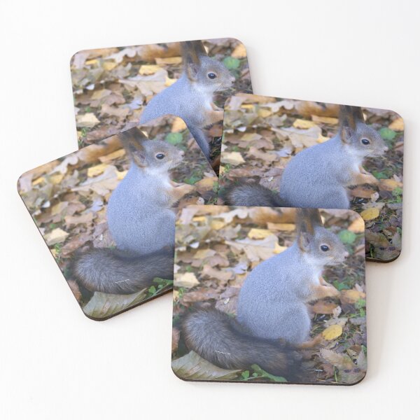 Item preview, Squirrel trustful designed and sold by SVETLANA ZOLOTAREVA.