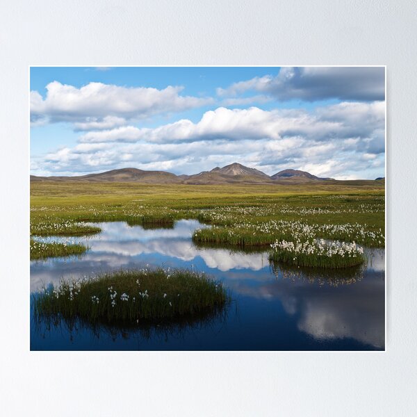 Item preview, Iceland designed and sold by thonycity.