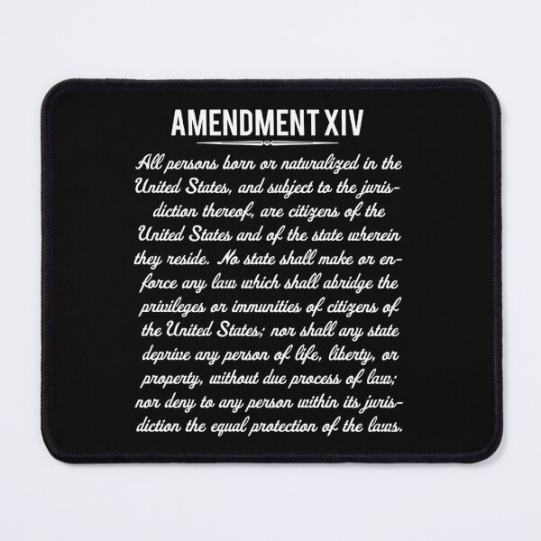 Item preview, 14th Amendment designed and sold by ouchmypancreas.