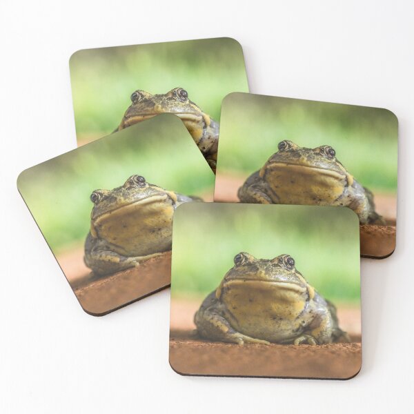 Item preview, Australian Frog designed and sold by Michael Capparelli.