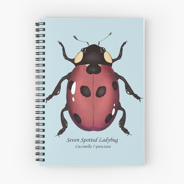 Item preview, seven spotted ladybug designed and sold by dinosaphira99.