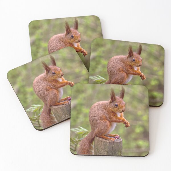 Item preview, Red Sqirrel 1 designed and sold by Geoff Carpenter.