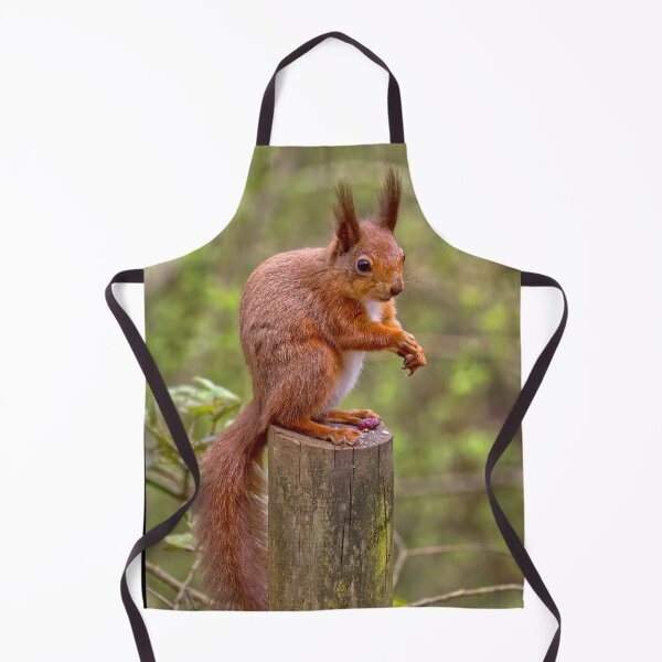 Item preview, Red Sqirrel 1 designed and sold by Geoff Carpenter.