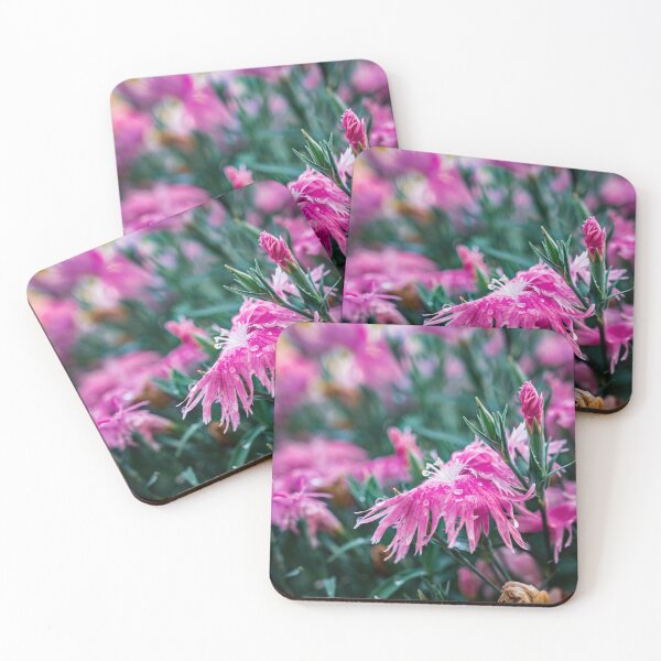 Item preview, Pink Dianthus designed and sold by HoneyHuesPhotos.