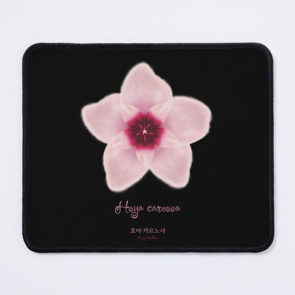 Item preview, Hoya carnosa flower that brings good luck designed and sold by K-sugarstore.