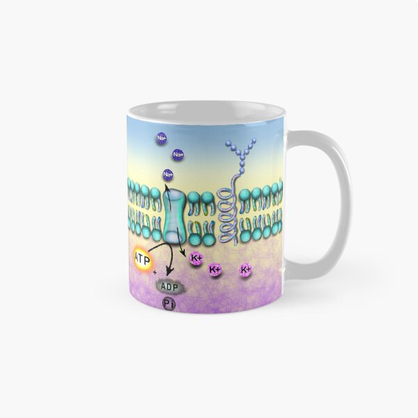 Item preview, Na K channel designed and sold by Osher-BioArt.