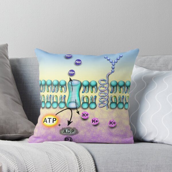 Item preview, Na K channel designed and sold by Osher-BioArt.