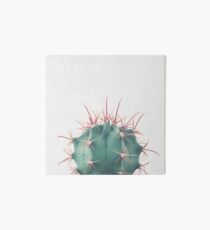 Ferocactus Art Board Print