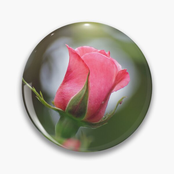 Item preview, Single red rose about to open designed and sold by LorrieBee.