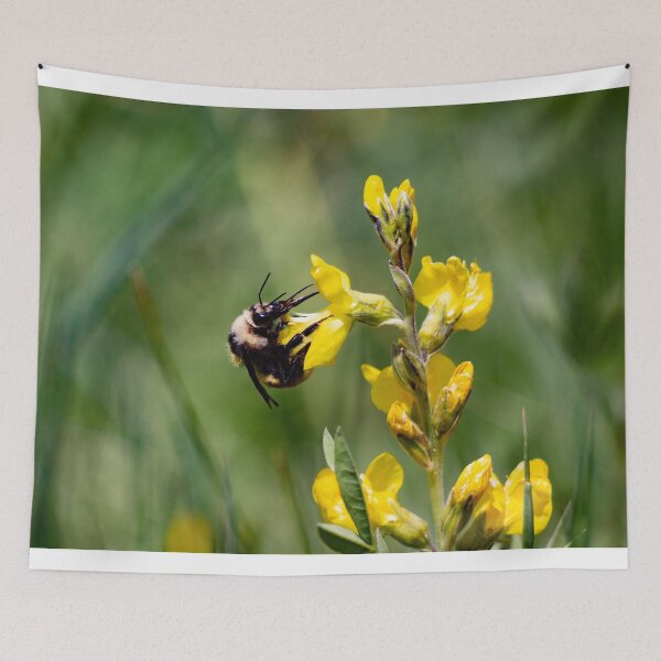 Item preview, Bumble bee pollinating a yellow flower designed and sold by Shizenkai.