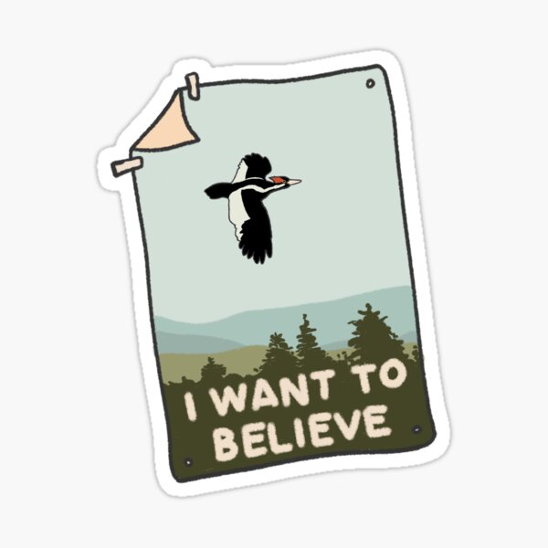 Item preview, I Want To Believe Ivory-Billed Woodpecker Poster designed and sold by nocsnightsky.