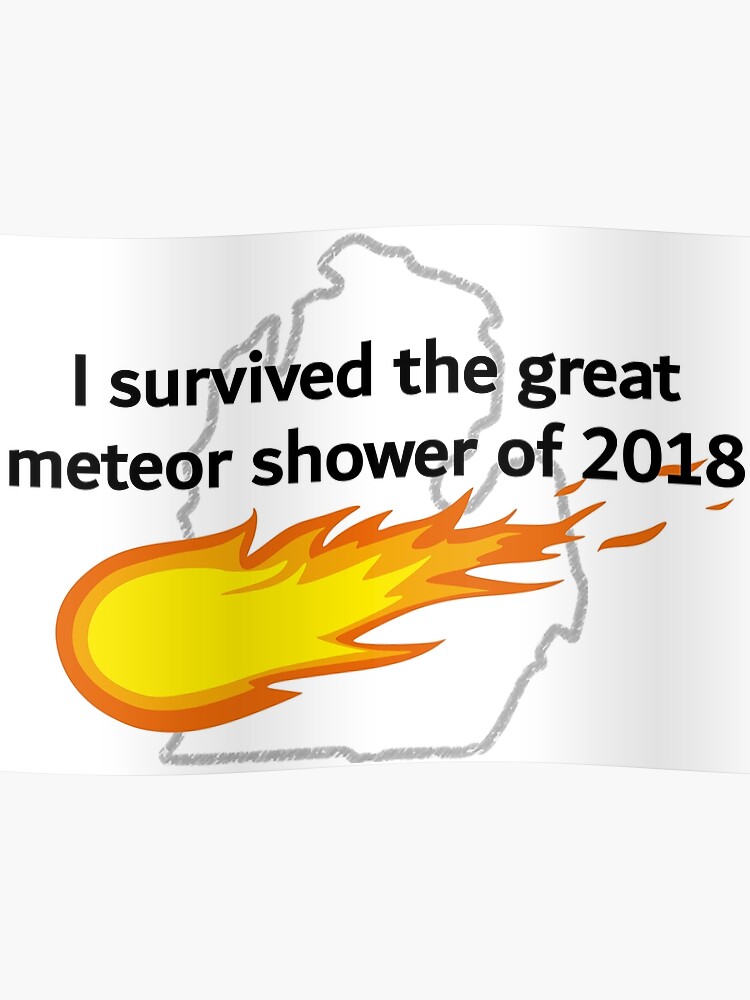 Image result for i survived a meteor shower"