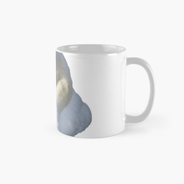 Item preview, Real white swan designed and sold by GenevraAndCo.
