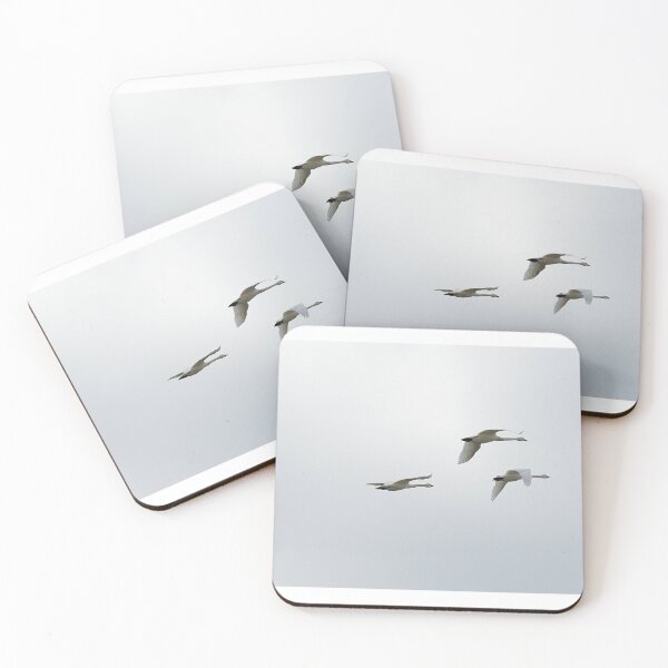 Item preview, Following the Leader designed and sold by fototaker Tony.