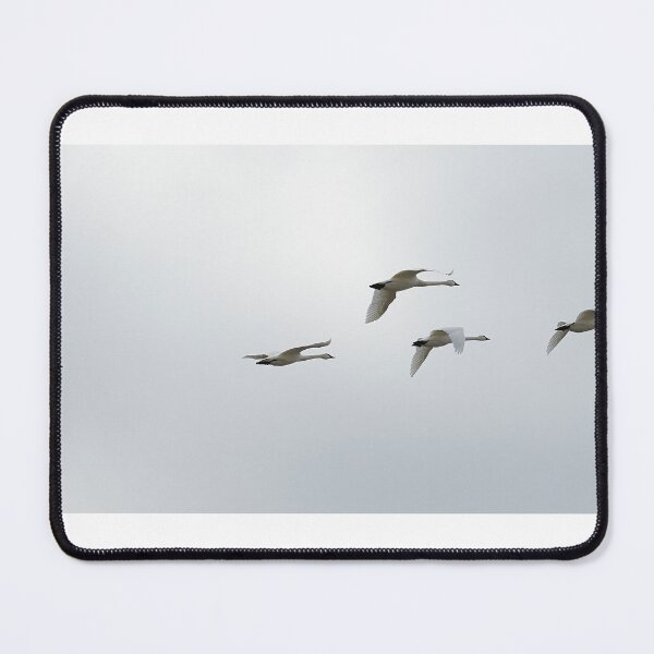 Item preview, Following the Leader designed and sold by fototaker Tony.