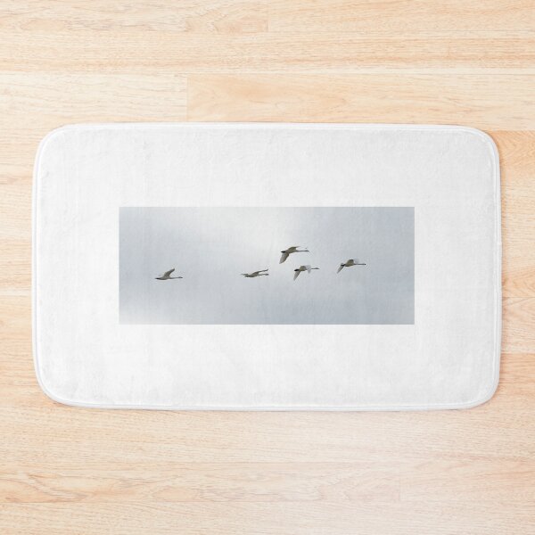 Item preview, Following the Leader designed and sold by fototaker Tony.