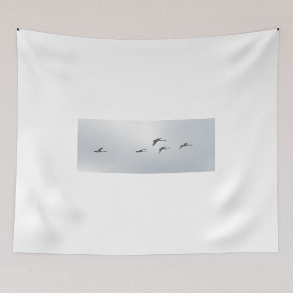 Item preview, Following the Leader designed and sold by fototaker Tony.