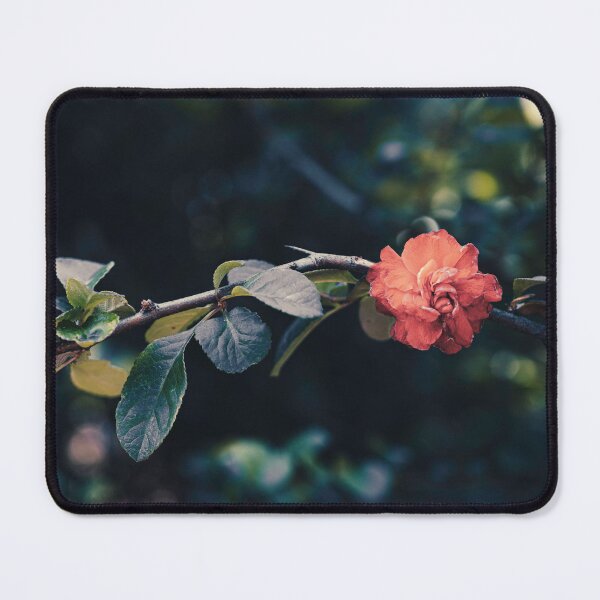 Item preview, Red Tree Rose designed and sold by HoneyHuesPhotos.