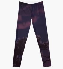 Reaching Leggings