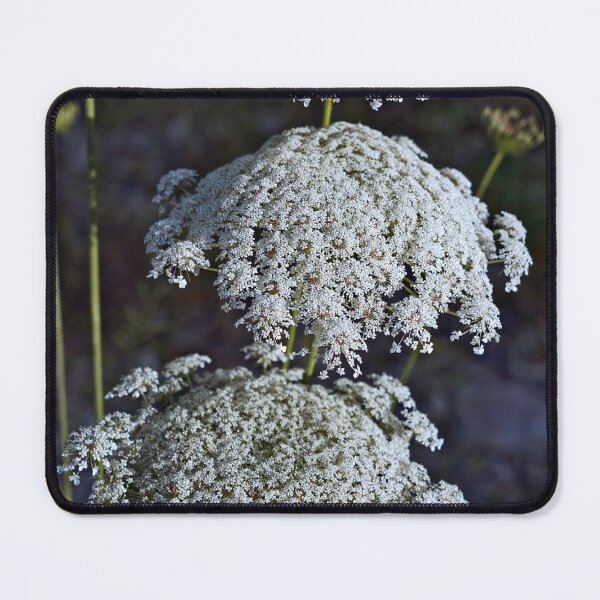 Item preview, Natural Textures designed and sold by Nira Dabush.