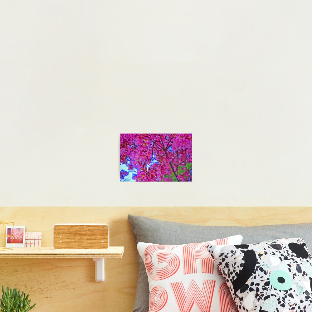 Item preview, Photographic Print designed and sold by colourfulmagic.