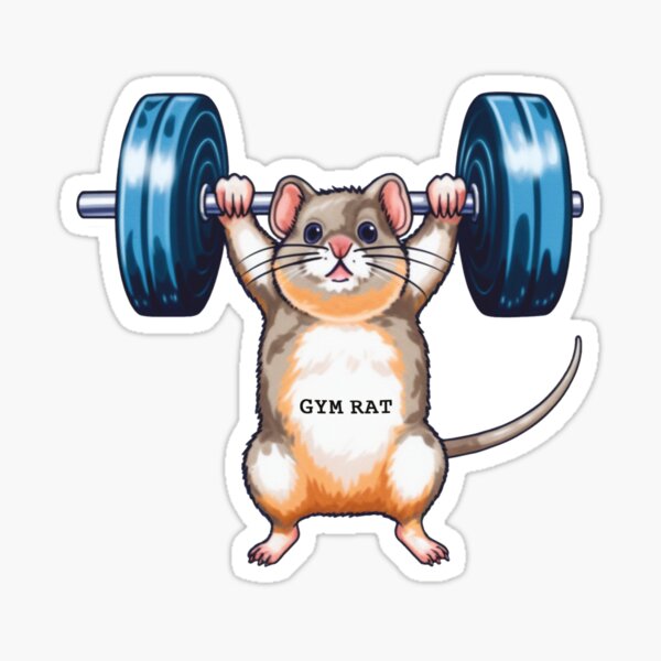 Gym Rat Sticker Sticker