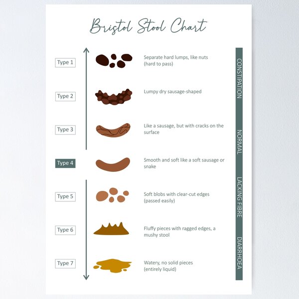 bristol-stool-chart-green-art-print-for-sale-by-martina1988-redbubble