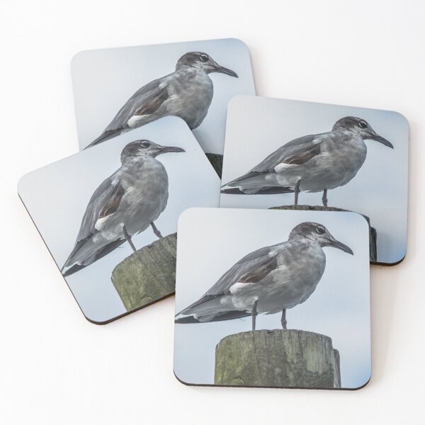 Item preview, California Gull designed and sold by KensLensDesigns.