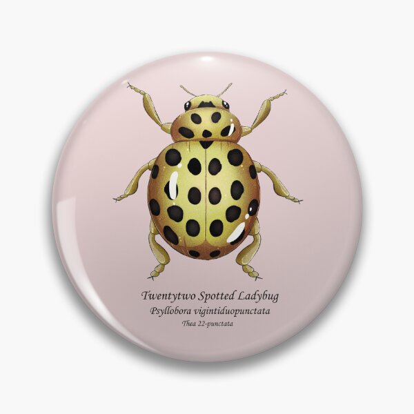 Item preview, twentytww spotted ladybug designed and sold by dinosaphira99.
