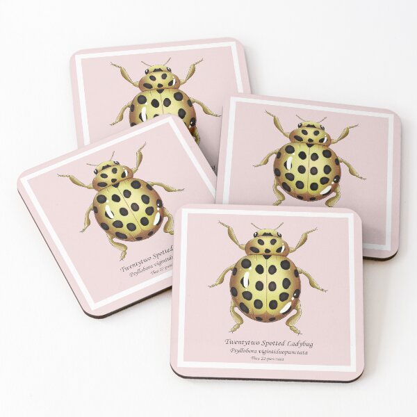 Item preview, twentytww spotted ladybug designed and sold by dinosaphira99.