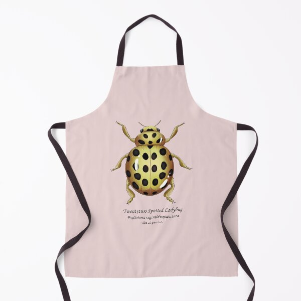 Item preview, twentytww spotted ladybug designed and sold by dinosaphira99.