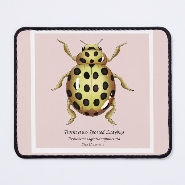 Item preview, twentytww spotted ladybug designed and sold by dinosaphira99.