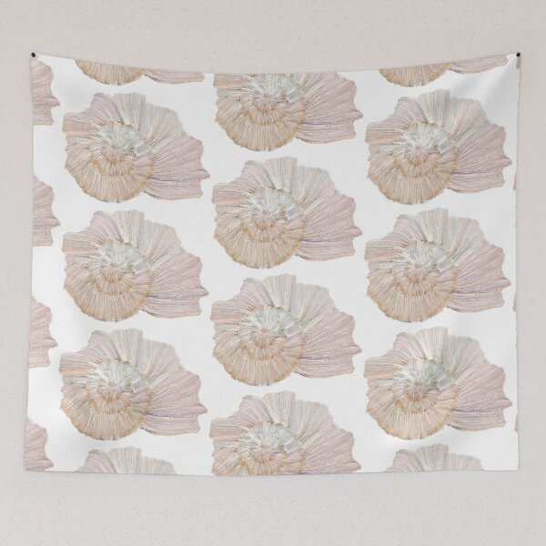 Item preview, sea shell 1  by tom sachse designed and sold by Tom Sachse.