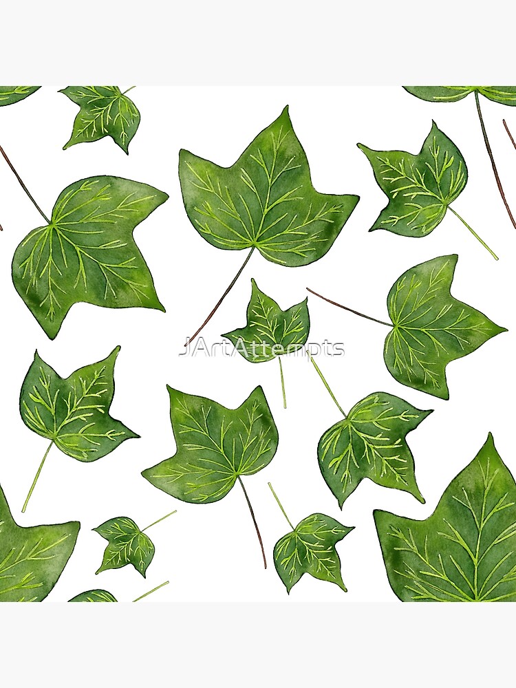 Set of ivy leaves hand drawn converted Royalty Free Vector
