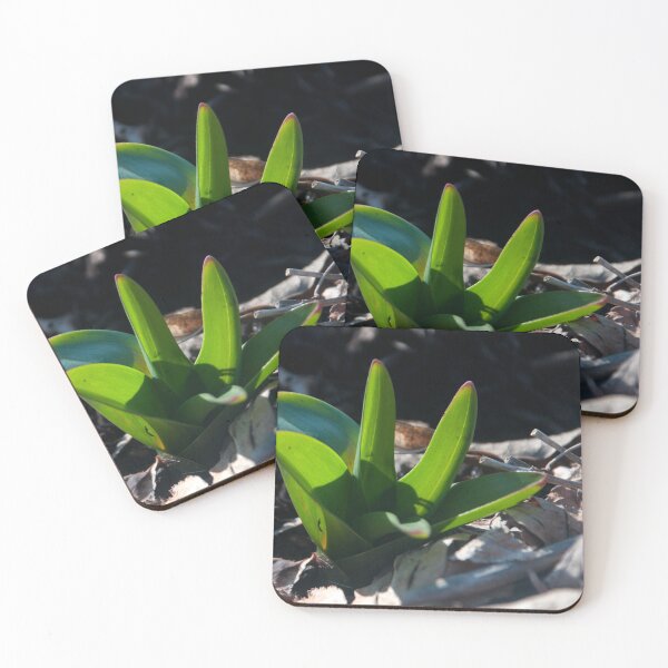 Item preview, New for Old. Fresh Growth designed and sold by Billlee.