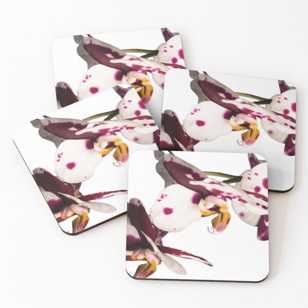 Item preview, ORCHIDS designed and sold by Unwritten.