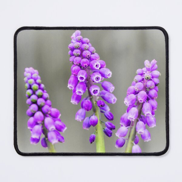 Item preview, The purple three designed and sold by JEZ22.