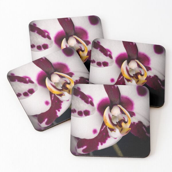 Item preview, Orchid Garden designed and sold by Unwritten.