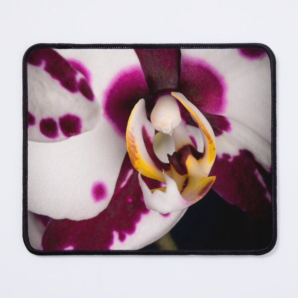 Item preview, Orchid Garden designed and sold by Unwritten.