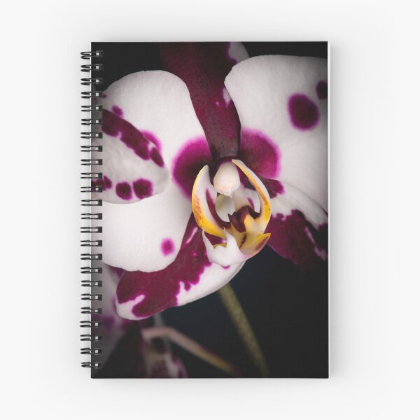 Item preview, Orchid Garden designed and sold by Unwritten.