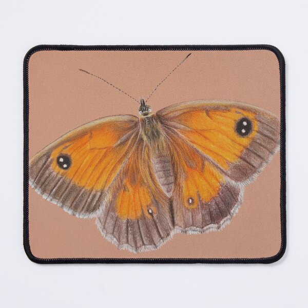 Item preview, Gatekeeper butterfly hand drawn in coloured pencil designed and sold by Annagibbsart.